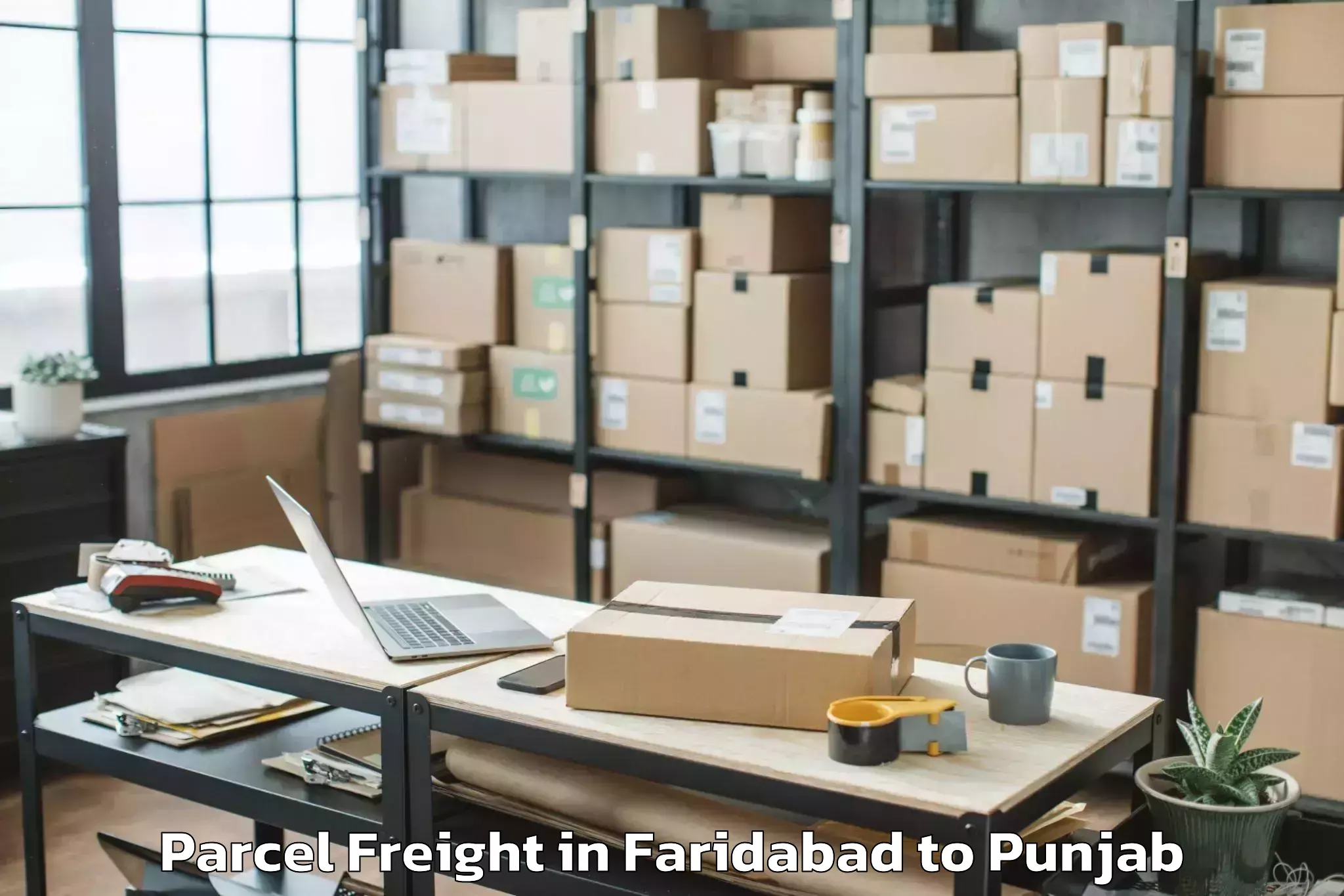 Quality Faridabad to Badhni Kalan Parcel Freight